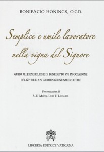 Semplice-umile-lavoratore_Honings